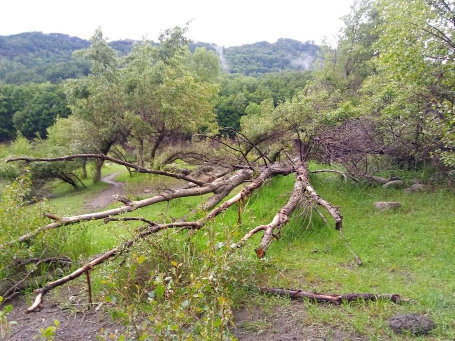Atico En Pleno Pirineo Daire El Pueyo de Jaca Dış mekan fotoğraf