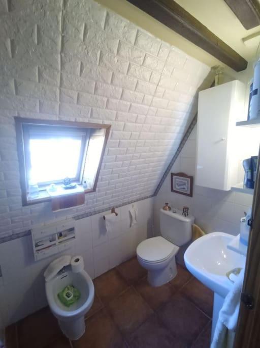 Atico En Pleno Pirineo Daire El Pueyo de Jaca Dış mekan fotoğraf