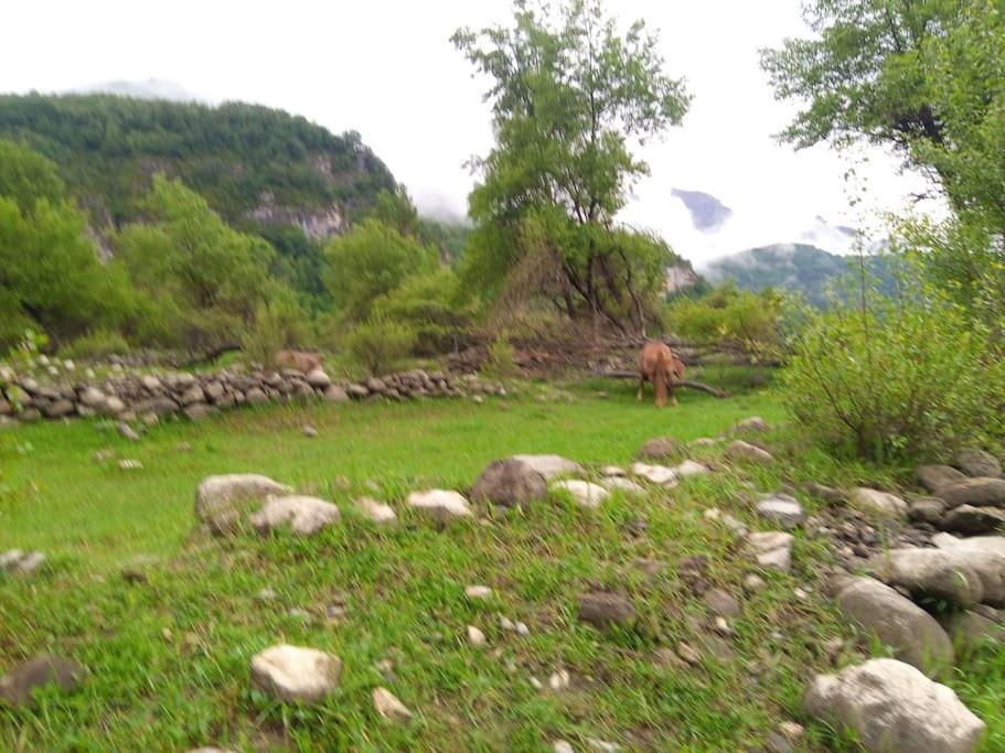 Atico En Pleno Pirineo Daire El Pueyo de Jaca Dış mekan fotoğraf