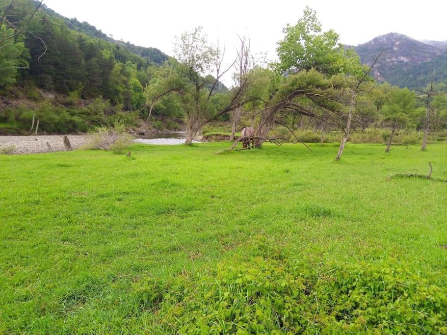 Atico En Pleno Pirineo Daire El Pueyo de Jaca Dış mekan fotoğraf